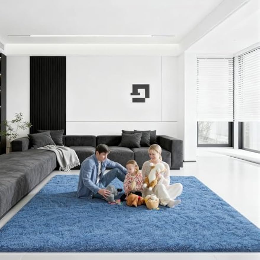 Large Fluffy Soft Indoor Area Rug