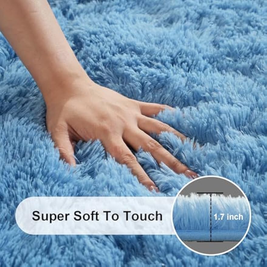 Large Fluffy Soft Indoor Area Rug