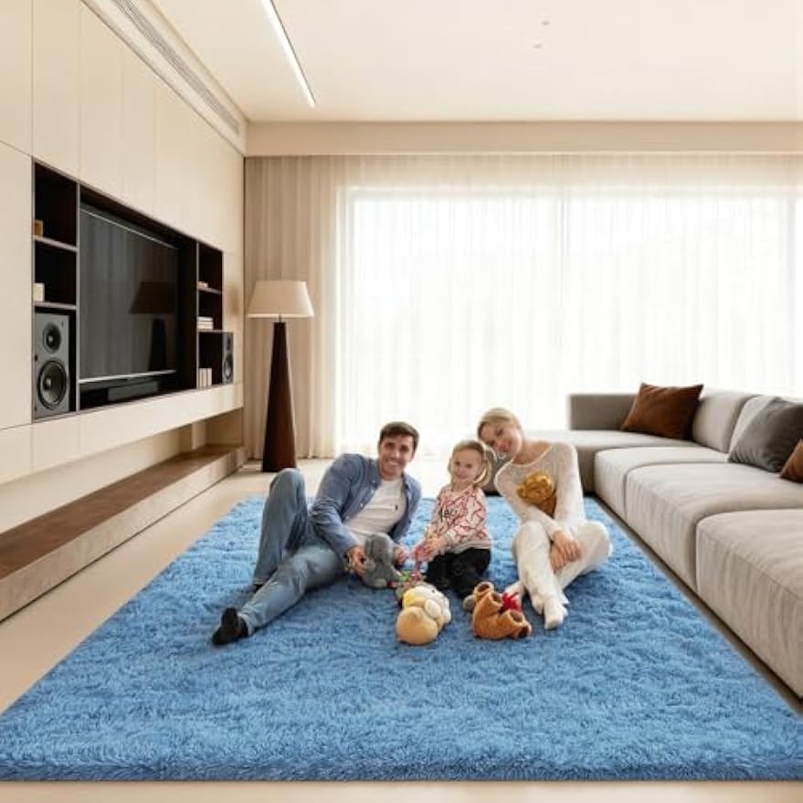 Large Fluffy Soft Indoor Area Rug