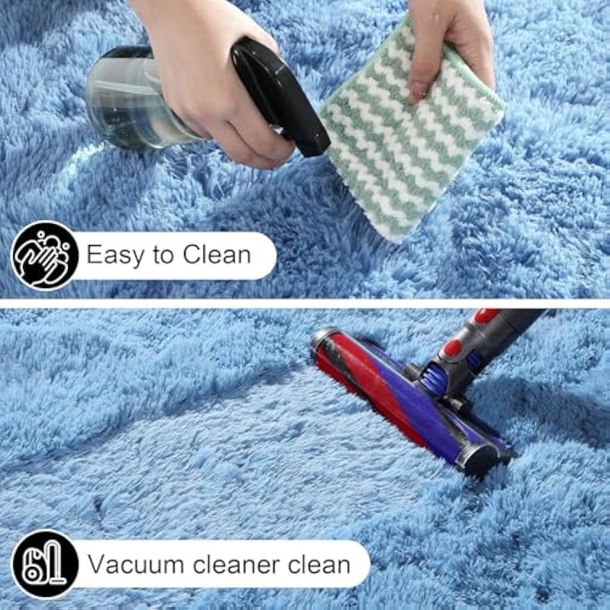 Large Fluffy Soft Indoor Area Rug